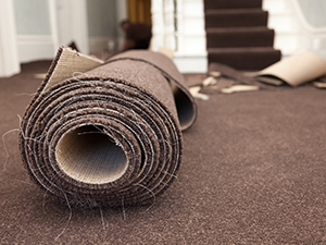 Carpet Cleansers in Ottawa, ON