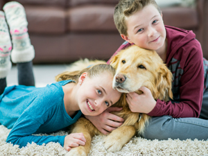 Carpet cleaning